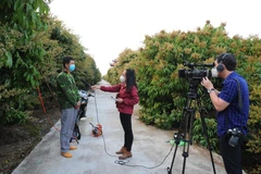 Lãnh đạo Nhà nước đã có sự ghi nhận nỗ lực của các nhà báo không ngại lây lan, hiểm nguy vào giữa tâm dịch để viết tin, bài. (Ảnh: TTXVN)