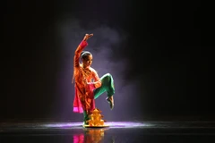 Dịch bệnh COVID-19 khiến đời sống nghệ sỹ lâm vào tình cảnh vô cùng khó khăn. (Ảnh minh họa: Hoàng Hiếu/TTXVN)