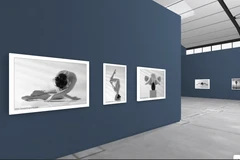 Không gian triển lãm ảnh nude nghệ thuật của nhiếp ảnh gia Thái Phiên. (Ảnh chụp màn hình)