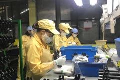 Công nhân nữ hăng say lao động sản xuất. (Ảnh: Minh Nghĩa/ TTXVN)