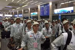 Lao động Việt Nam sang làm việc tại Hàn Quốc. (Ảnh minh họa: Cục Quản lý lao động ngoài nước)