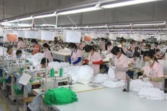 (Ảnh minh họa: Vũ Sinh/TTXVN)