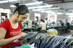 (Ảnh minh họa: TTXVN)