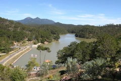 Lâm Đồng lập trung tâm tiếp nhận phản ánh của du khách