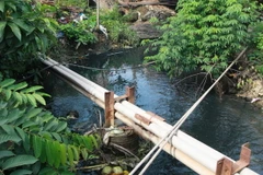 (Ảnh minh họa: Tràng Dương/TTXVN)