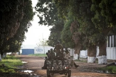 Tổng thống CH Trung Phi sẵn sàng đàm phán với phiến quân