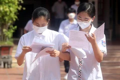 Ảnh minh họa. (Ảnh: Thế Duyệt/TTXVN)