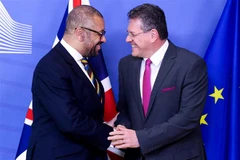 Ngoại trưởng Anh James Cleverly (trái) trong cuộc gặp Ủy viên châu Âu phụ trách vấn đề Brexit Maros Sefcovic tại Brussels, Bỉ ngày 17/2. (Ảnh: AFP/TTXVN)