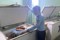 Cơ quan chức năng tỉnh Phú Yên phát hiện nhiều sản phẩm thịt cấp đông không có nguồn gốc xuất xứ tại cơ sở kinh doanh đóng gói thực phẩm Nguyễn Quân. (Ảnh: Tường Quân/TTXVN)