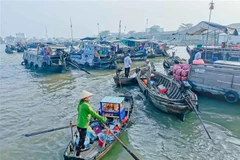 Chợ nổi Cái Răng - Di sản văn hóa phi vật thể quốc gia. (Ảnh: Thanh Liêm/TTXVN)
