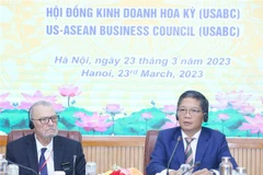 Trưởng Ban Kinh tế Trung ương Trần Tuấn Anh phát biểu tại toạ đàm. (Ảnh: Phương Hoa/TTXVN)