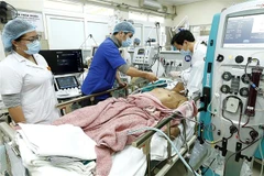 Cấp cứu cho bệnh nhẫn tại Trung tâm Chống độc - Bệnh viện Bạch Mai. (Ảnh: Dương Ngọc/TTXVN)