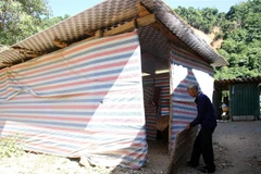 Ảnh minh họa. (Ảnh: Văn Tý/TTXVN)