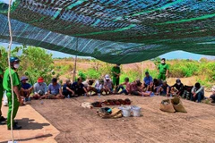 Các đối tượng tham gia đá gà ăn tiền cùng tang vật bị lực lượng Công an bắt quả tang. (Ảnh: TTXVN phát)