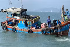 Lực lượng chức năng huy động hơn 100 nhân lực tham gia công tác tìm kiếm cứu nạn, tìm kiếm nạn nhân tử vong trong vụ chìm tàu trên vùng biển Cần Giờ. (Ảnh: TTXVN phát)