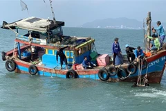 Lực lượng chức năng huy động hơn 100 nhân lực tham gia công tác tìm kiếm cứu nạn, tìm kiếm nạn nhân tử vong trong vụ chìm tàu trên vùng biển Cần Giờ. (Ảnh: TTXVN phát)