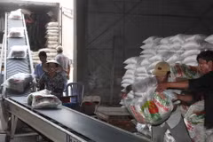 Vận chuyển gạo xuất khẩu tại Xí nghiệp Chế biến lương thực cao cấp Tân Túc (huyện Bình Chánh, TP.HCM). (Ảnh: Đình Huệ/TTXVN)