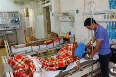 Ảnh chỉ có tính minh họa. (Ảnh: Dư Toán/TTXVN)