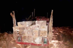 Số gỗ bị lực lượng chức năng bắt giữ. (Ảnh: Tuấn Anh/TTXVN)