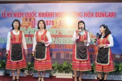 Chương trình văn nghệ chào mừng tại buổi lễ. (Ảnh: Xuân Khu/TTXVN)