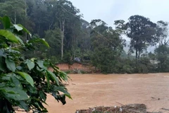 Lâm Đồng: 4 du khách bị lũ cuốn trôi, 2 người vẫn đang mất tích