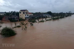 Mực nước trên các sông từ Quảng Bình đến Ninh Thuận đang lên