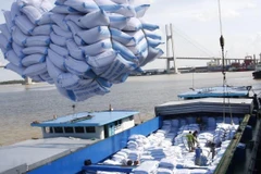 Bốc xếp gạo xuất khẩu sang tại cảng Sài Gòn. (Ảnh: TTXVN)