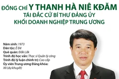 [Infographics] Bí thư Đảng ủy Khối Doanh nghiệp TW Y Thanh Hà Niê Kđăm