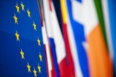 (Nguồn: globalriskinsights)