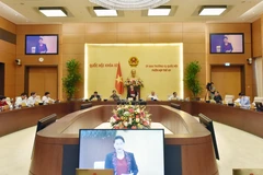 Chủ tịch Quốc hội Nguyễn Thị Kim Ngân phát biểu khai mạc phiên họp. (Ảnh: Dương Giang/TTXVN)