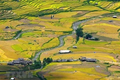 [Video] Việt Nam lọt vào tốp du lịch tuyệt vời nhất thế giới