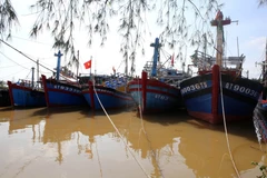 Bão số 9: Đảo Cồn Cỏ có gió giật cấp 9, cảnh báo lũ và sạt lở đất