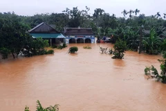 Ban Cứu trợ phân bổ 45 tỷ đồng hỗ trợ 11 tỉnh miền Trung, Tây Nguyên