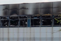 Các hãng ôtô Nhật cắt giảm sản xuất do thiếu nguồn cung chất bán dẫn