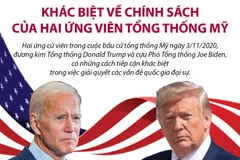 [Infographics] Khác biệt về chính sách của hai ứng viên Tổng thống Mỹ
