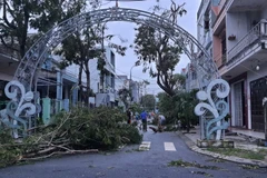 ​Bão số 9: Đà Nẵng có 90 nhà tốc mái, một người bị thương