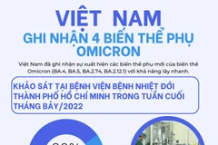 [Infographics] Việt Nam ghi nhận 4 biến thể phụ của Omicron