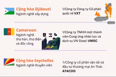 8 doanh nghiệp đưa lao động sang làm việc ở 4 quốc gia châu Phi