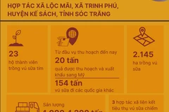 Vú sữa tím Sóc Trăng khẳng định thương hiệu tại thị trường Mỹ