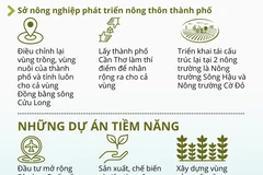 [Infographics] Định hướng đầu tư nông nghiệp công nghệ cao tại Cần Thơ