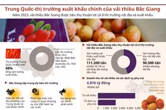 Trung Quốc: Thị trường xuất khẩu chính của vải thiều Bắc Giang