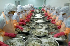 Kiểm soát chất lượng hàng hóa ngay từ gốc để đẩy mạnh xuất khẩu (Ảnh: TTXVN)