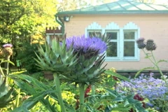 Một điền trang của Nga. (Nguồn: Moscow Times)