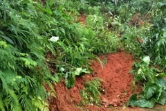 Nhiều tuyến đường giao thông từ các xã của địa bàn huyện Bắc Quang đi các thôn bản bị sạt lở nghiêm trọng, khiến giao thông đi lại khó khăn. (Ảnh: TTXVN phát)