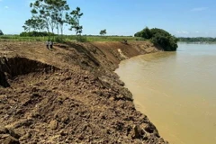 Chính quyền địa phương đã thực hiện phương án “4 tại chỗ”, tạo và dầm mái kè để chống sạt lở tạm thời tại thôn Hải Thành, xã Thọ Thành (huyện Thọ Xuân). (Ảnh: Việt Hoàng/TTXVN)