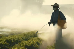 Ảnh minh họa. (Nguồn: agribusinessglobal.com)