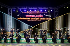 Trình diễn di sản Hát Then - Đàn tính. (Ảnh: Vũ Hoàng Giang/TTXVN)