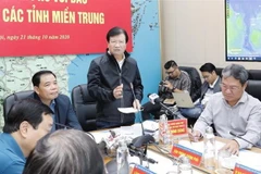Phó Thủ tướng Trịnh Đình Dũng phát biểu tại hội nghị. (Ảnh: Trần Việt/TTXVN)