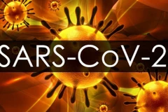 Ảnh minh họa. (Nguồn: Medscape)