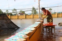 Giáo viên trường Tiểu học Thạch Tân (Xã Tân Lâm Hương, Thạch Hà) phơi sách cho học trò. (Ảnh: Hoàng Ngà/TTXVN)